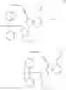 Fig. 35 - Modified nucleotides