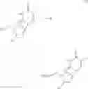 Fig. 40 - Modified nucleotides