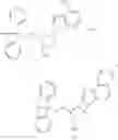 Fig. 57 - Modified nucleotides