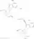 Fig. 61 - Modified nucleotides