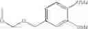 Fig. 65 - Modified nucleotides