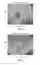 Fig. 06 - Method and system of strain gain compensation in elasticity imaging