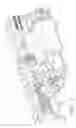 Fig. 07 - Tetherless biopsy device with self-reversing cutter drive mechanism