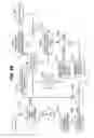 Fig. 21 - Method and Apparatus for Detection of Nervous System Disorders