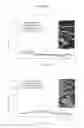 Fig. 06 - Fully synthetic implantable multi-phased scaffold