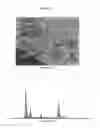 Fig. 32 - Fully synthetic implantable multi-phased scaffold