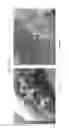 Fig. 47 - Fully synthetic implantable multi-phased scaffold