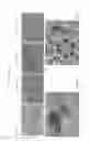 Fig. 64 - Fully synthetic implantable multi-phased scaffold