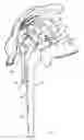 Fig. 02 - SHOULDER REPLACEMENT