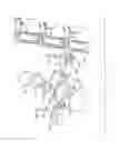 Fig. 08 - Cellular automotion digital material