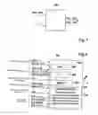 Fig. 06 - METHOD AND SYSTEM FOR CONTROLLING SAFETY MEANS FOR A VEHICLE