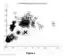 Fig. 13 - METHOD, SYSTEM AND APPARATUS FOR REAL-TIME CLASSIFICATION OF MUSCLE SIGNALS FROM SELF -SELECTED INTENTIONAL MOVEMENTS