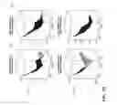 Fig. 197 - DISCRIMINATION BETWEEN MULTI-DIMENSIONAL MODELS USING DIFFERENCE DISTRIBUTIONS