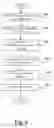 Fig. 07 - Method for expanding and collapsing data cells in a spreadsheet report