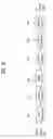 Fig. 09 - Digital broadcasting system and method of processing data
