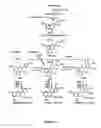 Fig. 02 - Genetically modified plants with altered inflorescence