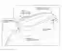 Fig. 01 - Bath n bed spa