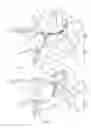 Fig. 02 - Apparatus with patient adjustment device coupled to architectural system
