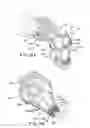 Fig. 07 - Bagless dustcup