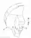 Fig. 28 - Bagless dustcup