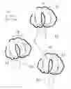 Fig. 01 - Omni-directional handle