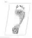 Fig. 04 - Foot type and plantar pressure measuring device