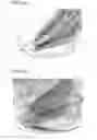 Fig. 07 - Combustor for a gas-turbine engine with angled pilot fuel nozzle