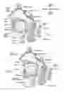 Fig. 02 - Apparatus, systems, and methods for constraining and/or supporting tissue structures along an airway