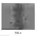 Fig. 05 - METAL PATTERNING FOR ELECTRICALLY CONDUCTIVE STRUCTURES BASED ON ALLOY FORMATION