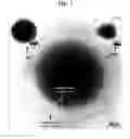 Fig. 03 - SOLAR CELL DEVICE COMPRISING A CONSOLIDATED CORE/SHELL POLYMER-QUANTUM DOT COMPOSITE AND METHOD OF THE PREPARATION THEREOF