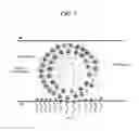Fig. 04 - SOLAR CELL DEVICE COMPRISING A CONSOLIDATED CORE/SHELL POLYMER-QUANTUM DOT COMPOSITE AND METHOD OF THE PREPARATION THEREOF