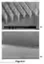 Fig. 06 - Transformation of nanostructure arrays