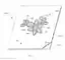 Fig. 04 - Web substrate having optimized emboss area