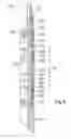 Fig. 05 - Non-Metallic Mandrel and Element System