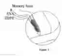 Fig. 03 - Computer Bag