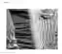 Fig. 02 - Templated native silk smectic gels