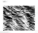 Fig. 04 - Templated native silk smectic gels