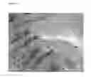 Fig. 09 - Templated native silk smectic gels