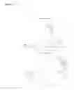 Fig. 16 - Templated native silk smectic gels