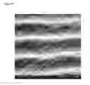 Fig. 34 - Templated native silk smectic gels