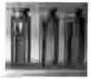 Fig. 01 - Detection of negatively charged polymers using water-soluble, cationic, polythiophene derivatives