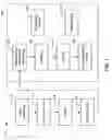 Fig. 02 - Method of reducing noise in an optically read image using an optical collection device