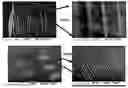 Fig. 01 - Identification features