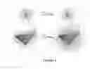 Fig. 02 - CONTROLLED AGENT RELEASE AND SEQUESTRATION