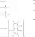Fig. 131 - ORGANIC ELECTROLUMINESCENCE DEVICE