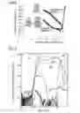 Fig. 07 - Photodiode and method of fabricating photodiode