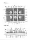Fig. 03 - Wafer level chip scale package