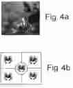 Fig. 05 - Aqua tiles