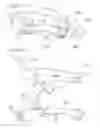 Fig. 09 - ROLLER SKATE AND SKATE BOARD