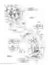 Fig. 02 - ENERGY-DISSIPATION SYSTEM